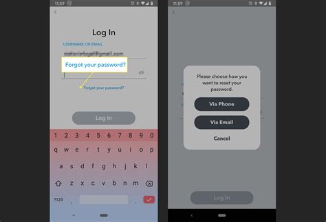 snapchat password example|Reset Password